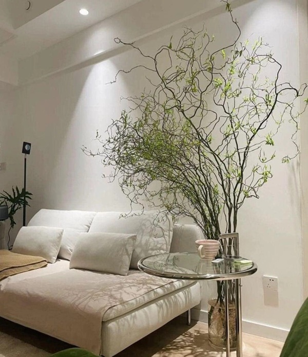 Rộ mốt trưng nhà rất chill với cành liễu xoăn uốn lượn lạ mắt-3