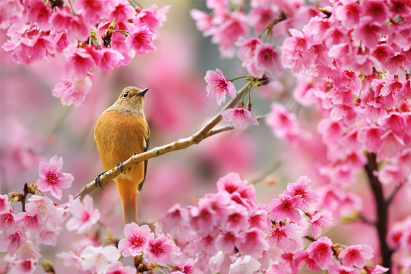 Sinh vào 5 ngày Âm lịch này, tài năng hơn người, mang đến phúc khí cho gia đình-4