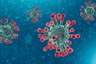 WHO cập nhật các mầm bệnh có nguy cơ bùng phát thành đại dịch