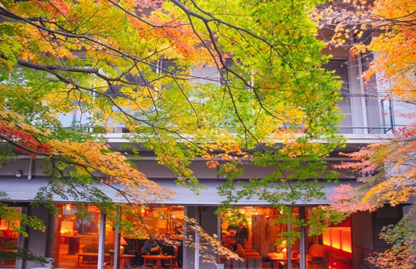 Choáng ngợp cảnh sắc Nhật Bản cuối thu-3