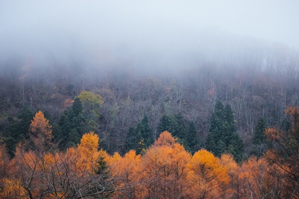 Choáng ngợp cảnh sắc Nhật Bản cuối thu-4