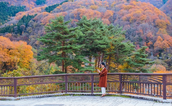 Choáng ngợp cảnh sắc Nhật Bản cuối thu-5