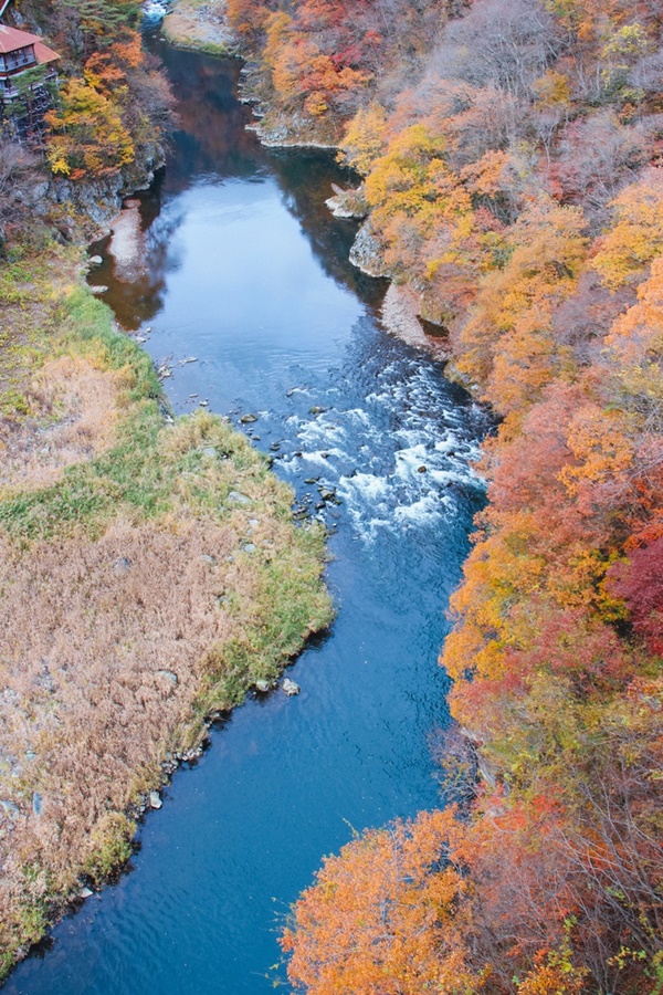 Choáng ngợp cảnh sắc Nhật Bản cuối thu-6