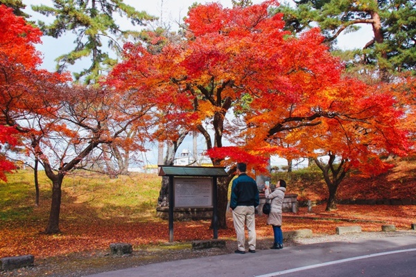 Choáng ngợp cảnh sắc Nhật Bản cuối thu-10