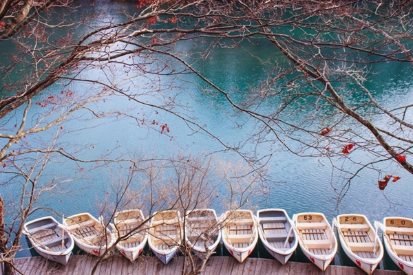 Choáng ngợp cảnh sắc Nhật Bản cuối thu-13