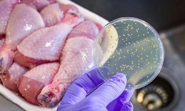 3 loại vi khuẩn có trong món cánh gà chiên gây ngộ độc ở trường iSchool nguy hiểm ra sao?-3