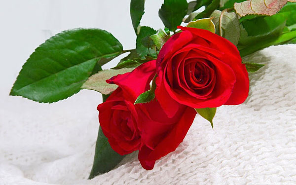 Sinh vào 5 ngày Âm lịch này, tài năng hơn người, mang đến phúc khí cho gia đình-3