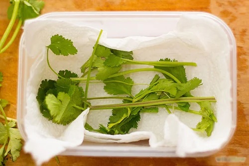 Rau mùi mua về nhanh thối, hỏng: Làm thêm bước này để nửa năm rau mùi vẫn tươi ngon, xanh mơn mởn-3