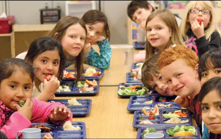 Hiệu trưởng ở Trung Quốc ăn cùng học sinh, Nhật cấm trường nấu đồ đông lạnh-3