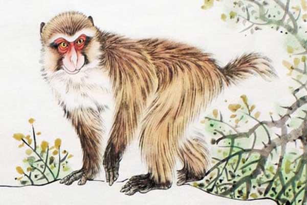 Mọi sự như ý, 4 con giáp có cái kết viên mãn trong năm 2022, 2023 khởi đầu suôn sẻ-5