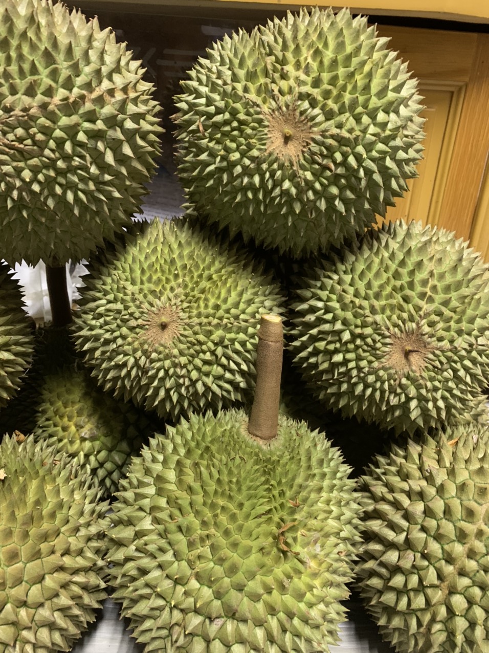 Loại sầu riêng đắt hơn Musang King, giá 2 triệu/kg vẫn thiếu hàng bán-2