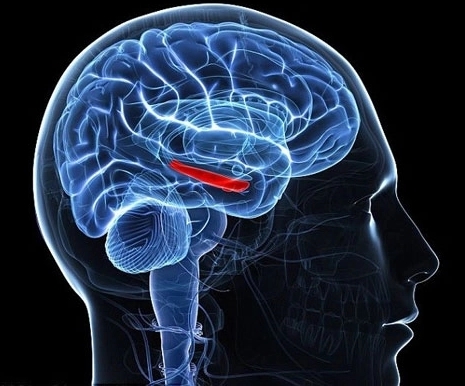 Tiến sĩ khoa học não bộ cho biết: Làm 3 điều này trước khi đi ngủ sẽ khiến trẻ tiểu học trở thành học sinh ưu tú-2