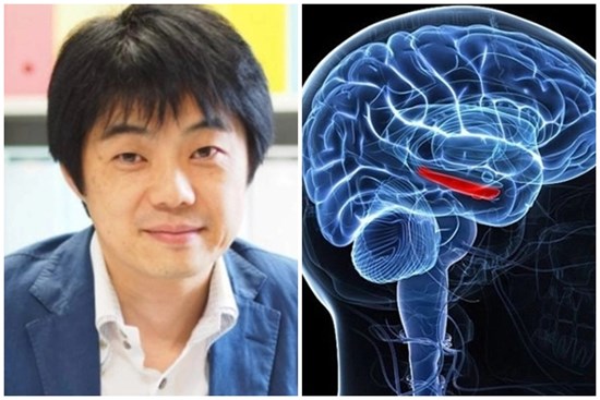 Tiến sĩ khoa học não bộ cho biết: Làm 3 điều này trước khi đi ngủ sẽ khiến trẻ tiểu học trở thành học sinh ưu tú