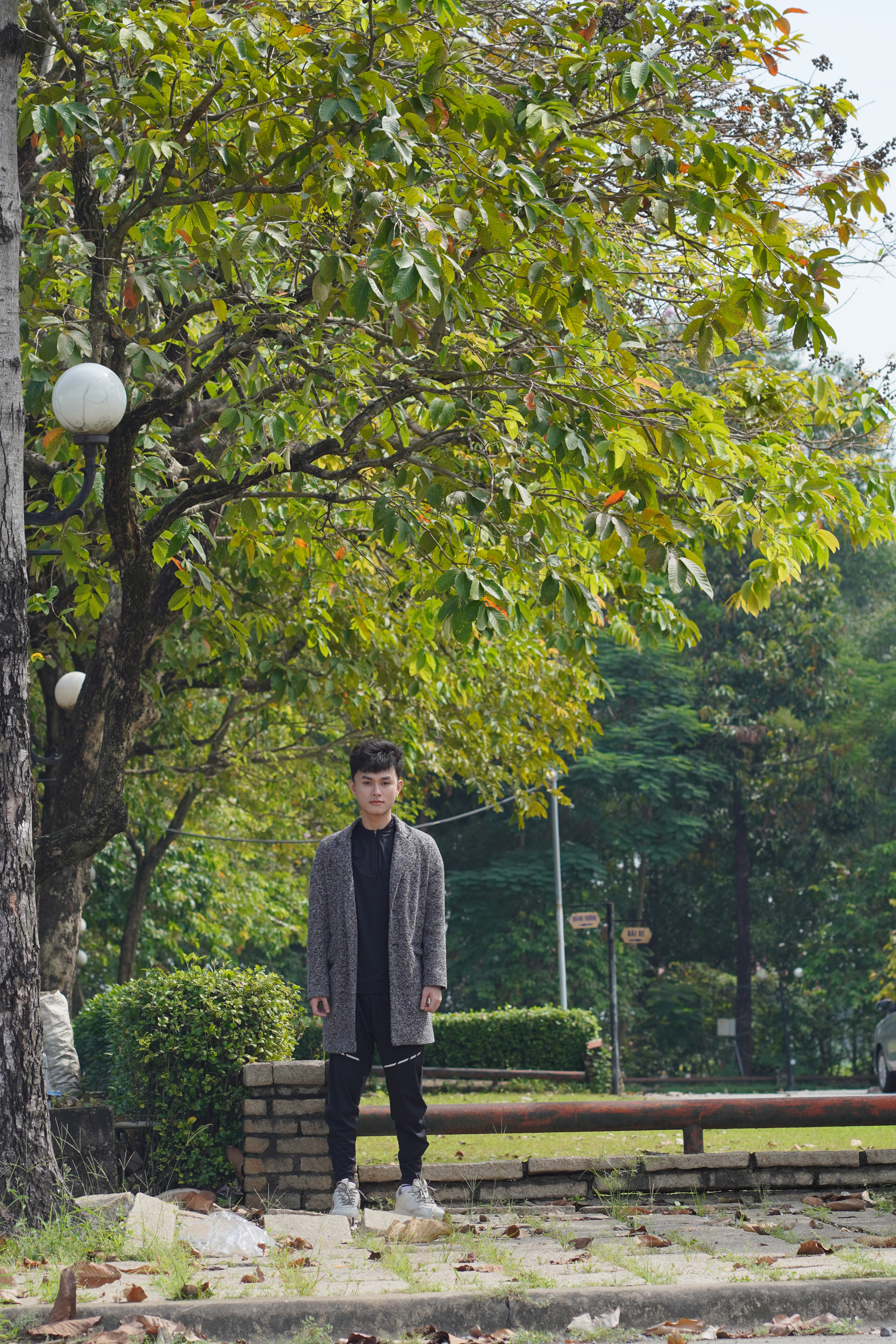 Sự thật về Canada giữa lòng Sài Gòn đẹp mê hồn khiến dân mạng phát sốt-8