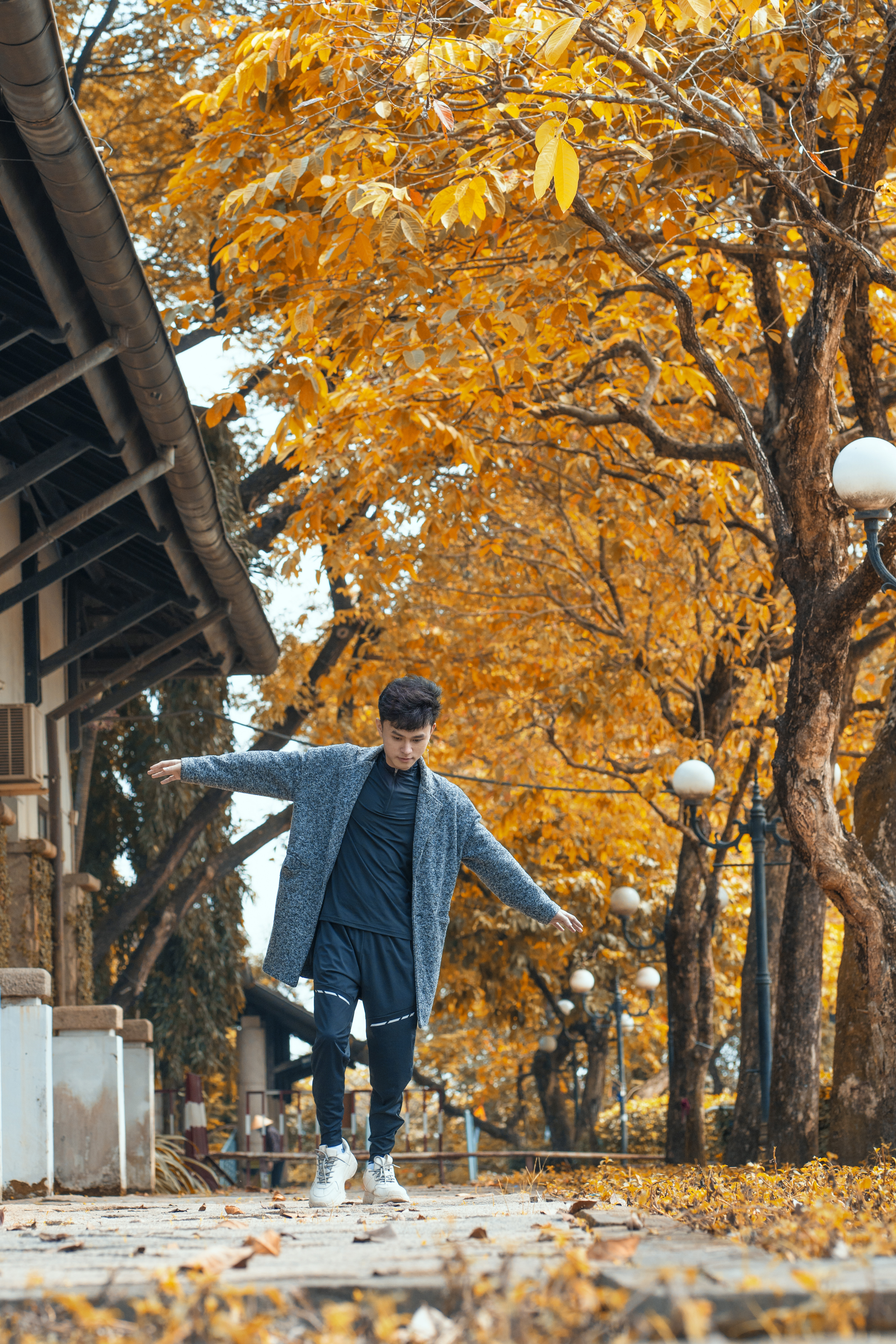 Sự thật về Canada giữa lòng Sài Gòn đẹp mê hồn khiến dân mạng phát sốt-1