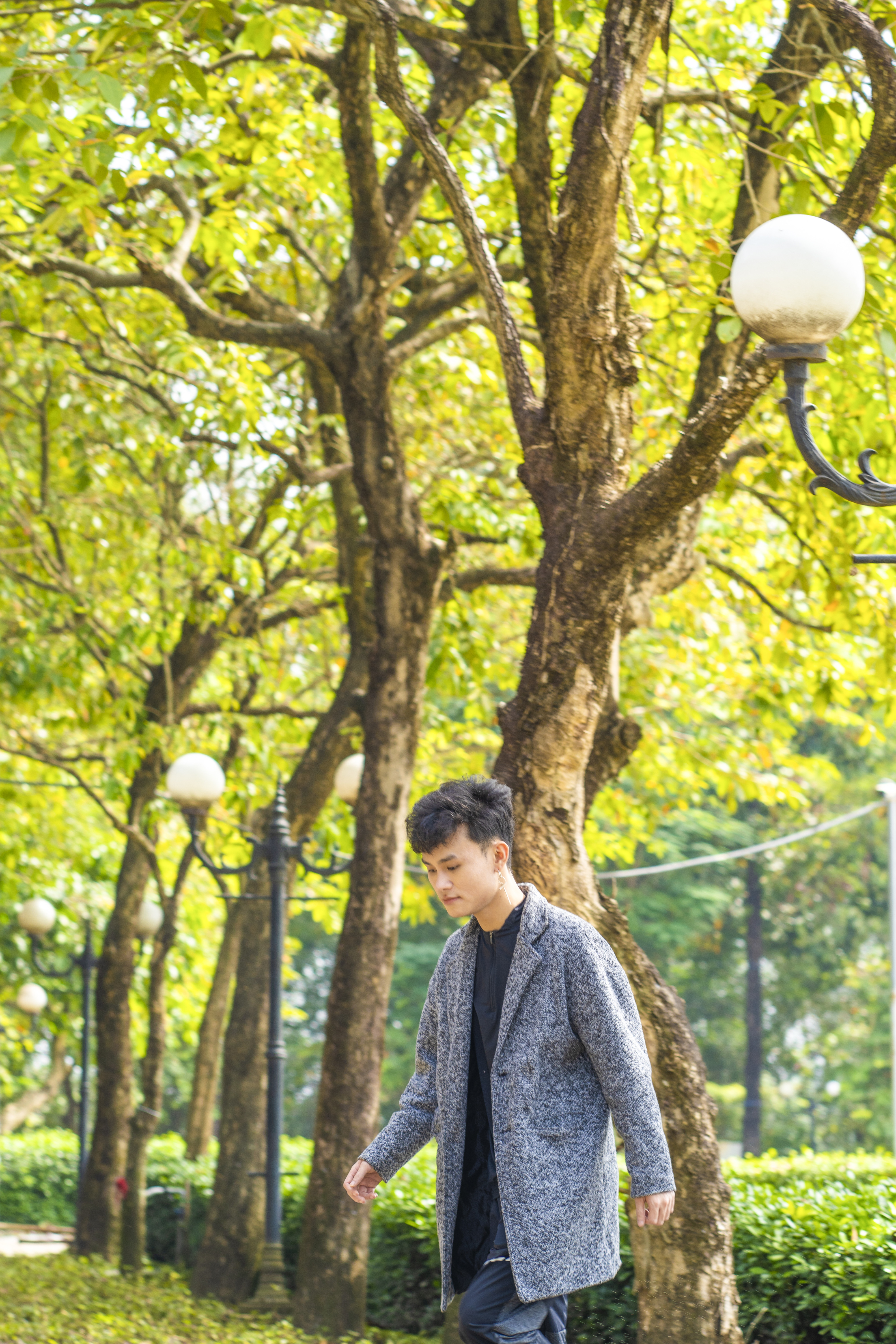 Sự thật về Canada giữa lòng Sài Gòn đẹp mê hồn khiến dân mạng phát sốt-9