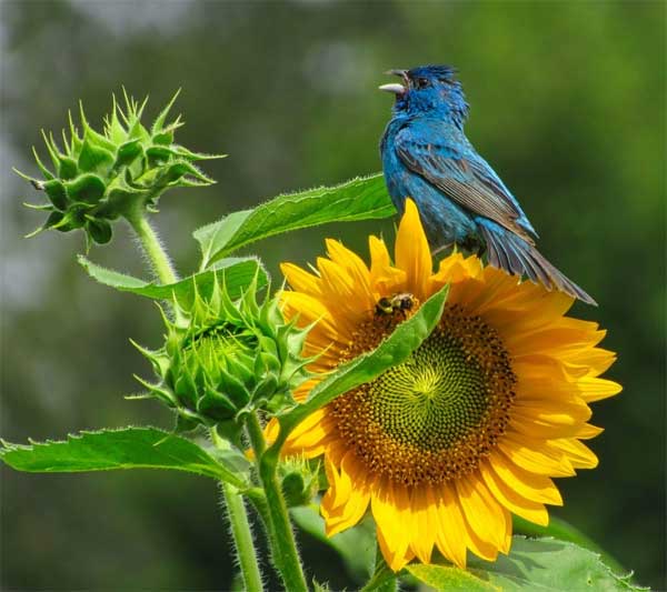 Tươi cười hớn hở, người sinh ngày Âm lịch này một đời viên mãn, phúc lộc dư dả-2