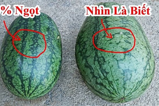 Chọn dưa hấu không cần vỗ vào quả, có 5 chỗ nhìn là biết ngay quả nào đặc ruột, ngọt căng, mỏng vỏ