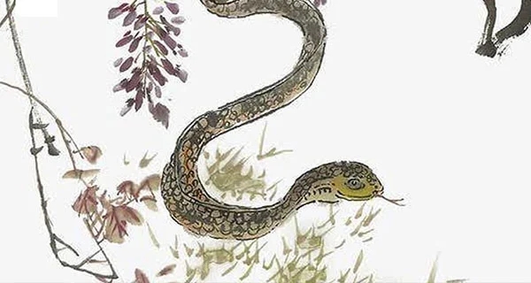 Chạy trời không khỏi nắng: 3 tuổi đen đủi nghèo khó tháng 12, 1 tuổi đổi vận giàu sang phú quý-2