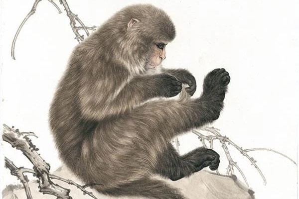 Tháng Chạp ai đen cứ đen : 4 tuổi này vận đỏ hơn son được ăn lộc thánh trúng số đổi đời, giàu có-3