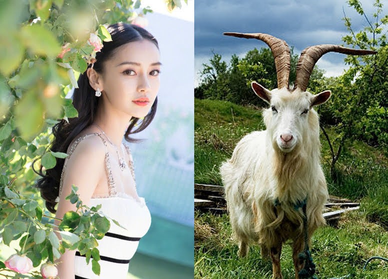 Chưa hết vận đen, ba con giáp tình tiền lao đao năm Quý Mão-3