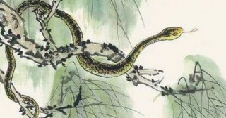 Chưa hết vận đen, ba con giáp tình tiền lao đao năm Quý Mão-5