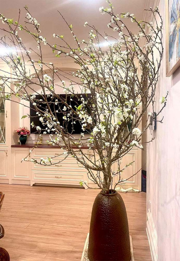 Hoa mận về phố nở trắng mê hoặc, khách chuộng cành dăm giá rẻ, cành mận khủng giảm mạnh-5