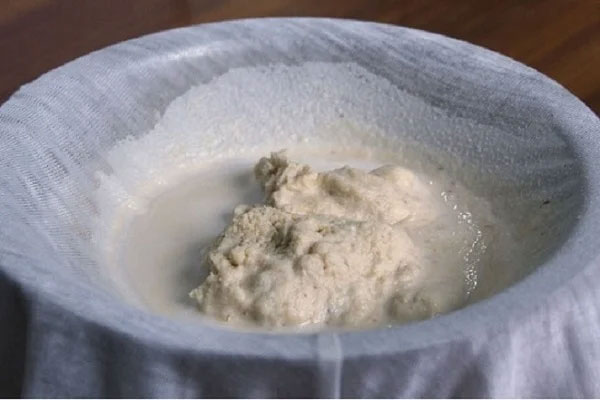 Dùng 3 thứ nước này tưới cho cây lưỡi hổ, chồi non mọc lên tua tủa, ra hoa trắng muốt-4