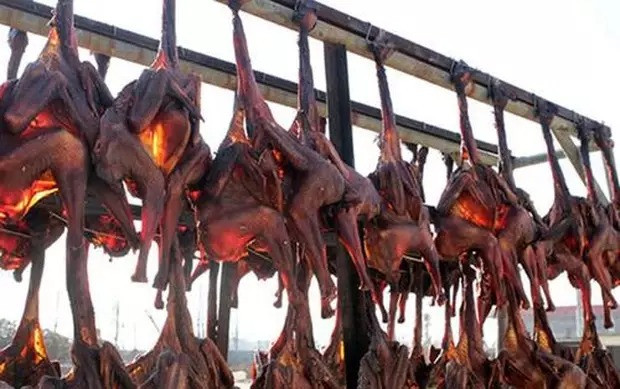 Hé lộ sự thật đằng sau món gà hong gió đại gia đua nhau ăn-8