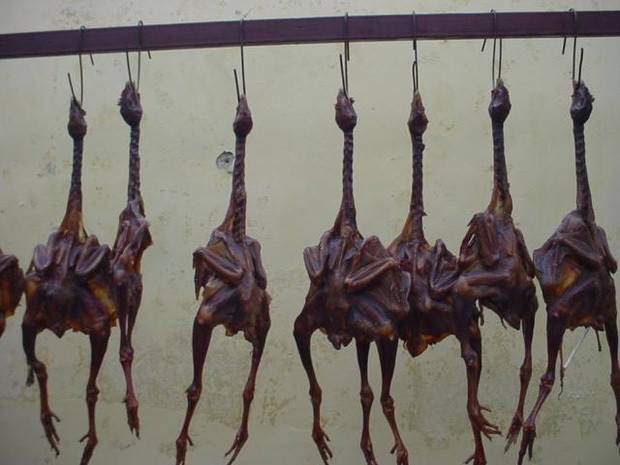 Hé lộ sự thật đằng sau món gà hong gió đại gia đua nhau ăn-9