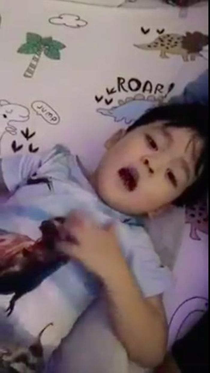 Chỉ một câu nói, con trai Đàm Vĩnh Hưng khiến nam ca sĩ lụi tim-2