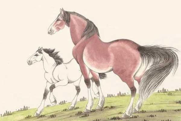 Nam Tào chấm sổ: 3 tuổi từ nay đến cuối năm kiếm bộn tiền, vận may tăng vùn vụt-4