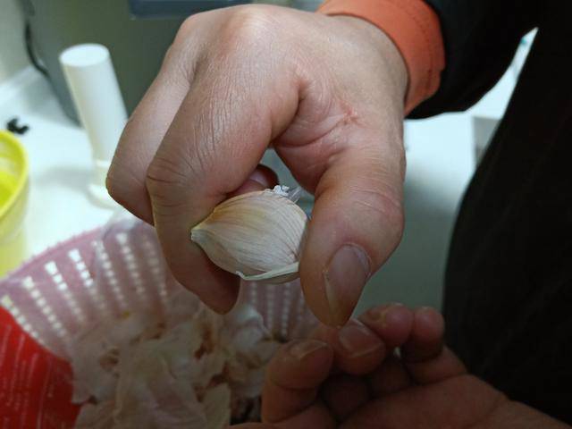 Củ tỏi bán đầy ngoài chợ nhưng có 4 dấu hiệu này thì đừng mua kẻo phí tiền-4