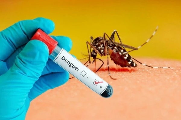 Số ca mắc sốt xuất huyết ở Hà Nội tiếp tục gia tăng-2