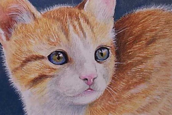 Nam Tào chấm sổ: 3 tuổi từ nay đến cuối năm kiếm bộn tiền, vận may tăng vùn vụt