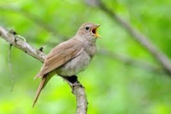 Năm hết Tết đến, ngôi nhà có 3 điều này là dấu hiệu phát tài, cuộc sống viên mãn, 2 điềm báo hung hạn