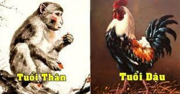 Ngồi mát ăn bát vàng, 3 con giáp được thần Tài mỉm cười, chính thức thoát khổ, tiền bạc cứ thể chảy vào két-1