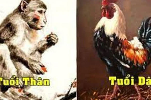 Thầy tướng số chỉ rõ chiều dài ngón chân biết tương lai bạn vượng tài giàu có hay nghèo hèn suốt kiếp-4