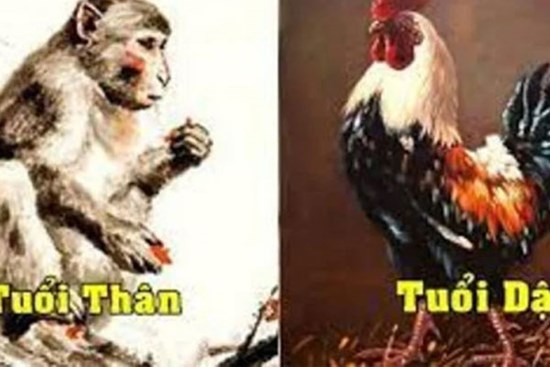 Ngồi mát ăn bát vàng, 3 con giáp được thần Tài mỉm cười, chính thức thoát khổ, tiền bạc cứ thể chảy vào két