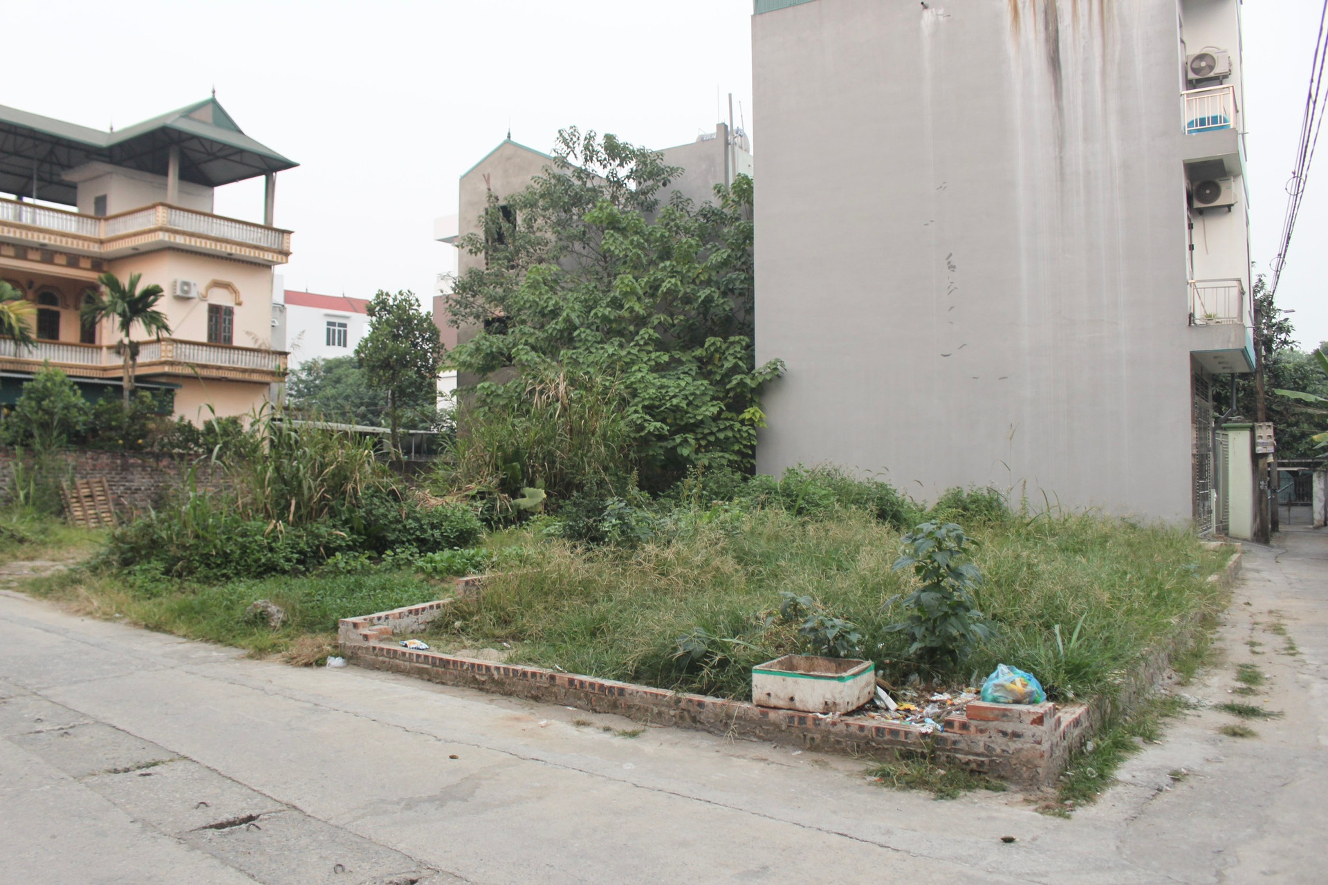 Đất làng quê có giá gần 200 triệu đồng/m2 trước thềm lên phố-1