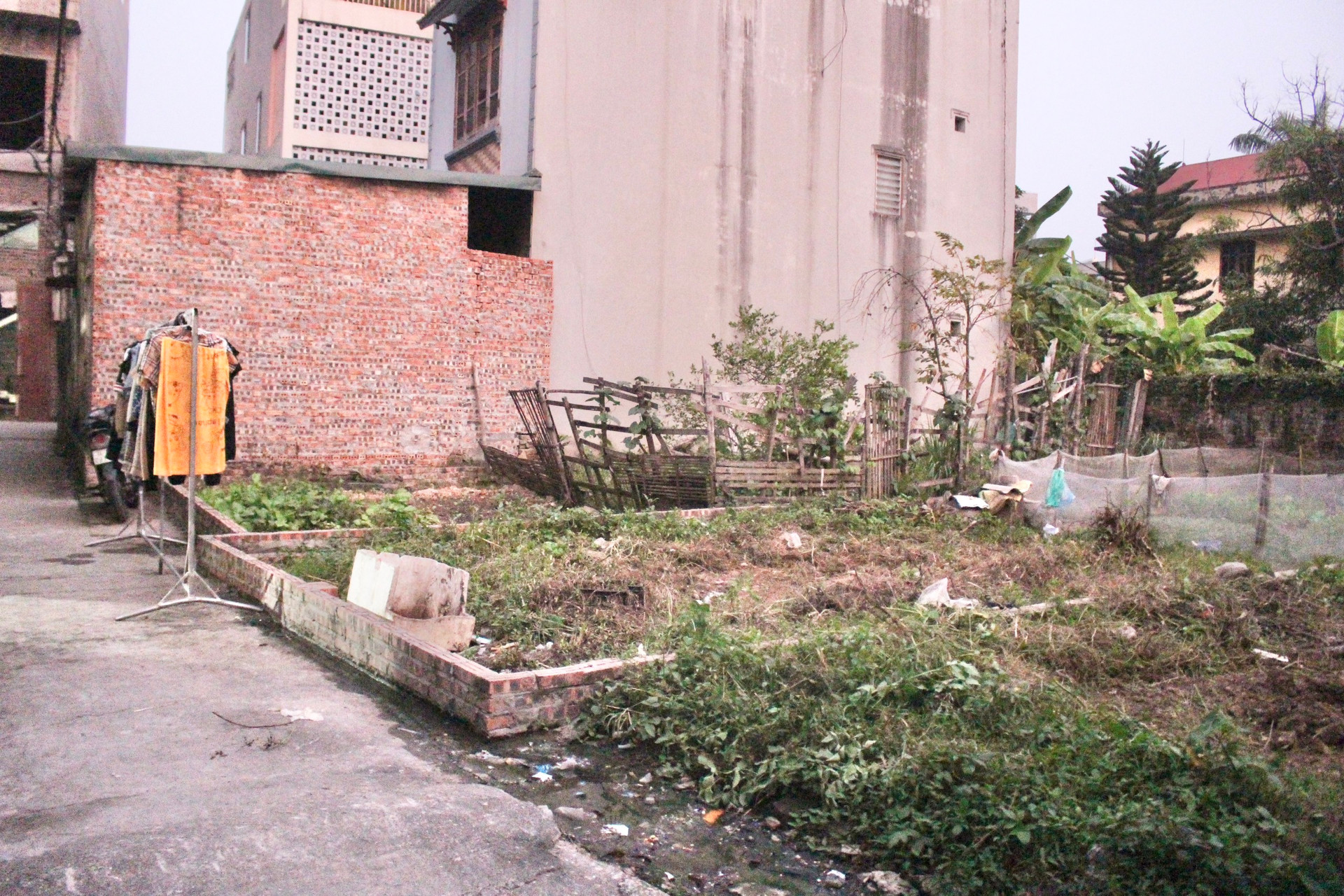 Đất làng quê có giá gần 200 triệu đồng/m2 trước thềm lên phố-2