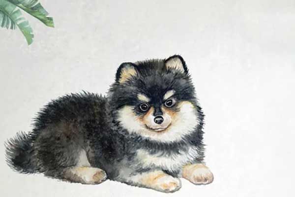 Tết Quý Mão 2023, ai nghèo cứ nghèo riêng 3 con giáp này vận đỏ như son, hưởng trọn lộc trong thiên hạ-3