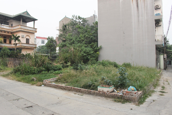 Đại gia đi săn nhà đất giá rẻ-3