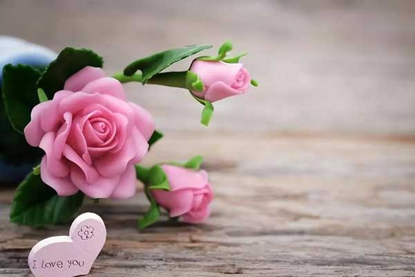 Trắc nghiệm tâm lý: chọn hoa theo cảm tính, trắc nghiệm xem bạn có phải là người phụ nữ quyến rũ?-2