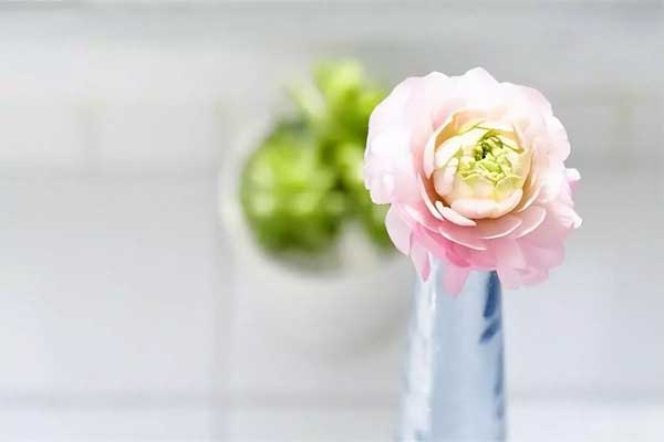 Cuối tháng 11, 3 con giáp từ cay đắng chuyển sang ngọt bùi, gặt hái nhiều thành tựu-2