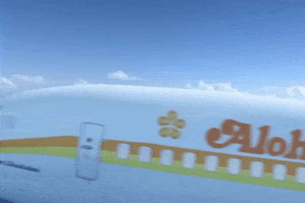 Máy bay đâm trúng cột điện cao thế, treo lơ lửng trên độ cao hơn 30 mét-1