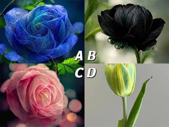 Trắc nghiệm tâm lý: chọn hoa theo cảm tính, trắc nghiệm xem bạn có phải là người phụ nữ quyến rũ?-1