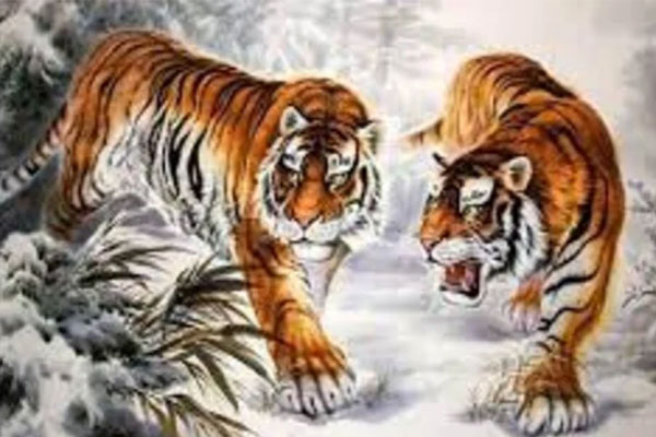 Người sinh ngày Âm lịch này giỏi giao tiếp, sự nghiệp thuận buồm xuôi gió, tương lai đầy hứa hẹn-5