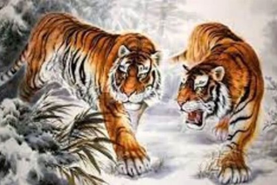 Tháng 12 ai đen cứ đen: 4 con giáp vận đỏ như son, đổi đời giàu sang, đón Tết rực rỡ