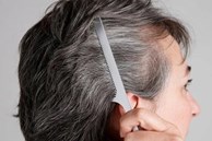 Ngày càng nhiều tóc trắng, có nên nhổ hay không? Sau 35 tuổi, nhất định phải lưu ý 2 điều mới tránh xa nguy cơ tóc bạc sớm